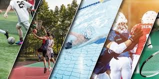 长三角马术联赛总决赛杭州收官 赛事流量转为消费留量